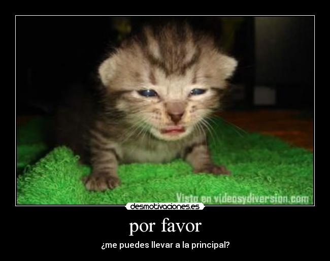 carteles por favor desmotivaciones