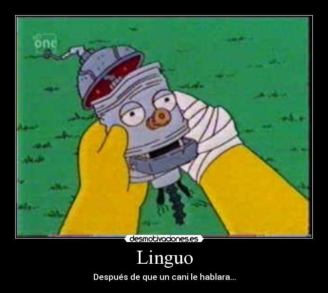 Linguo - 