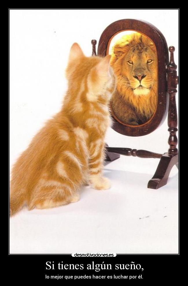 Si tienes algún sueño, - lo mejor que puedes hacer es luchar por él.