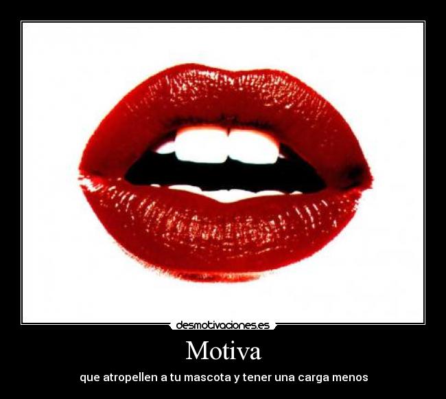 Motiva - que atropellen a tu mascota y tener una carga menos