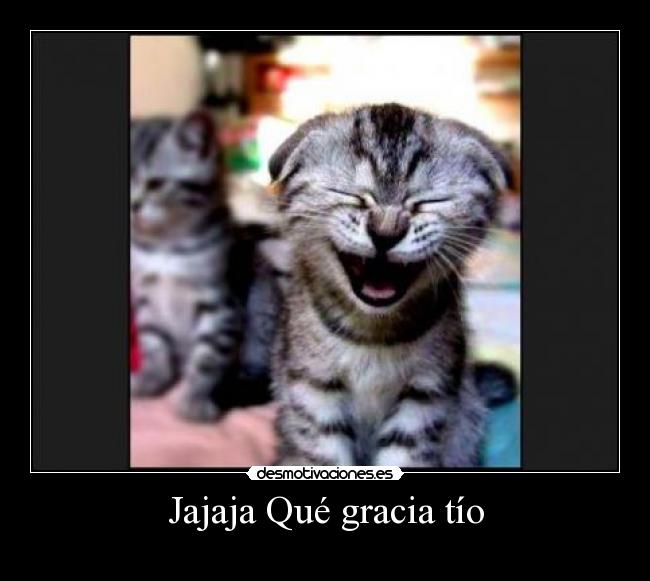 Jajaja Qué gracia tío - 
