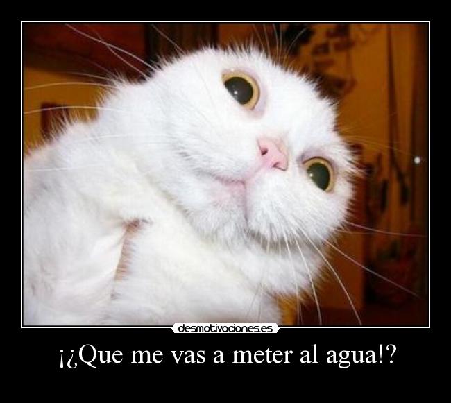 ¡¿Que me vas a meter al agua!? -