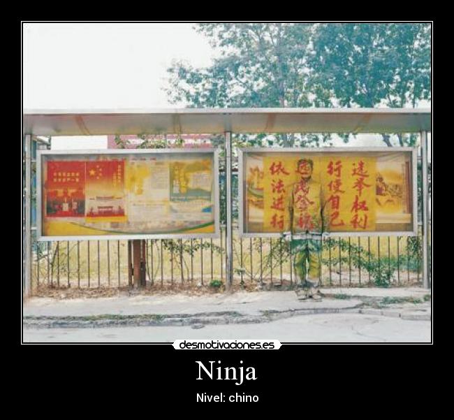 carteles ninja desmotivaciones