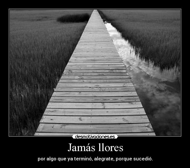 Jamás llores - 