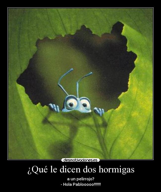 ¿Qué le dicen dos hormigas -