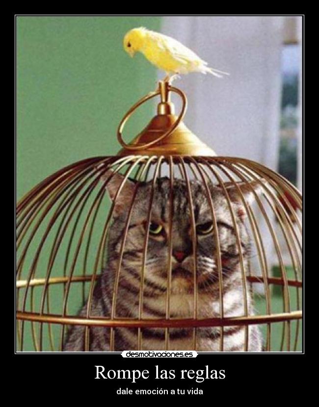 Rompe las reglas -