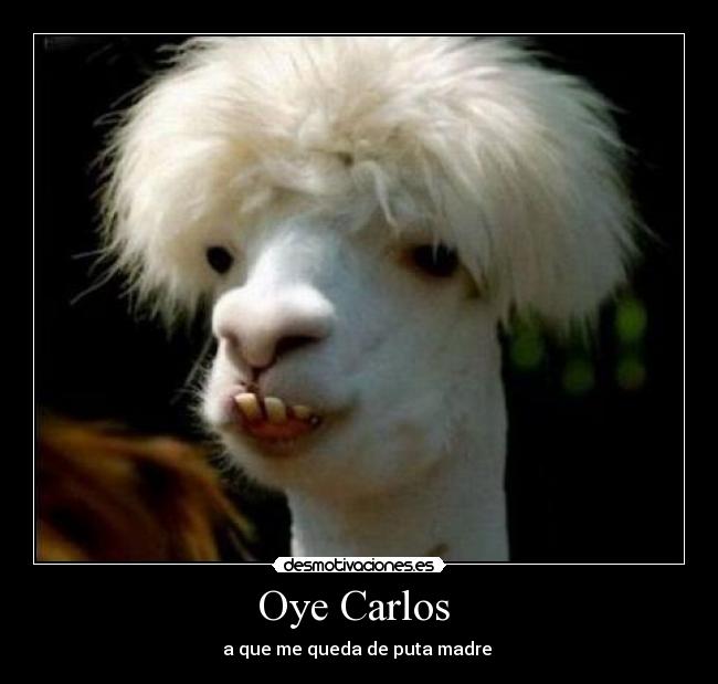 Oye Carlos  - 