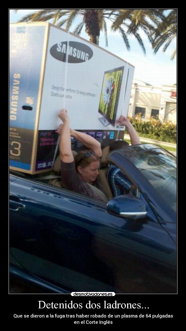 Detenidos dos ladrones... - 