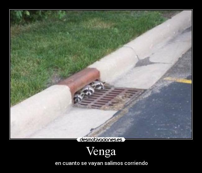 carteles venga desmotivaciones