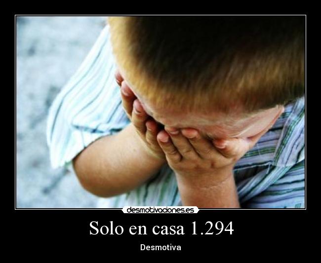 Solo en casa 1.294 -