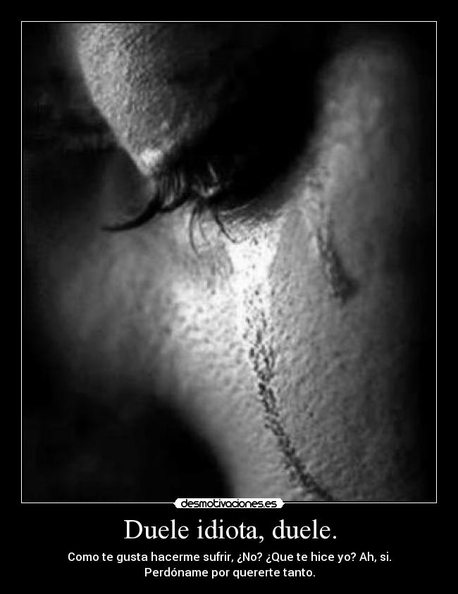 Duele idiota, duele. - 