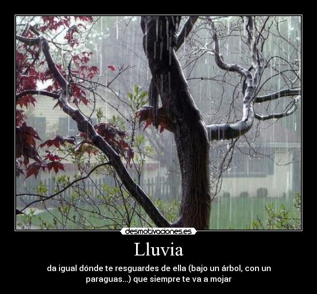 Lluvia - da igual dónde te resguardes de ella (bajo un árbol, con un
paraguas...) que siempre te va a mojar