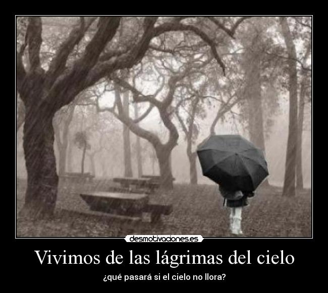 carteles lluvia agua sequia muerte desmotivaciones