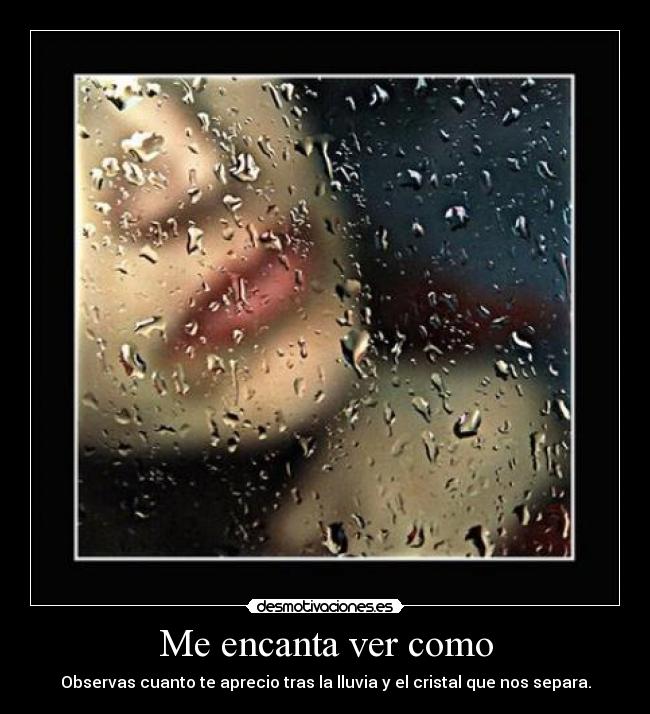 Me encanta ver como - Observas cuanto te aprecio tras la lluvia y el cristal que nos separa.