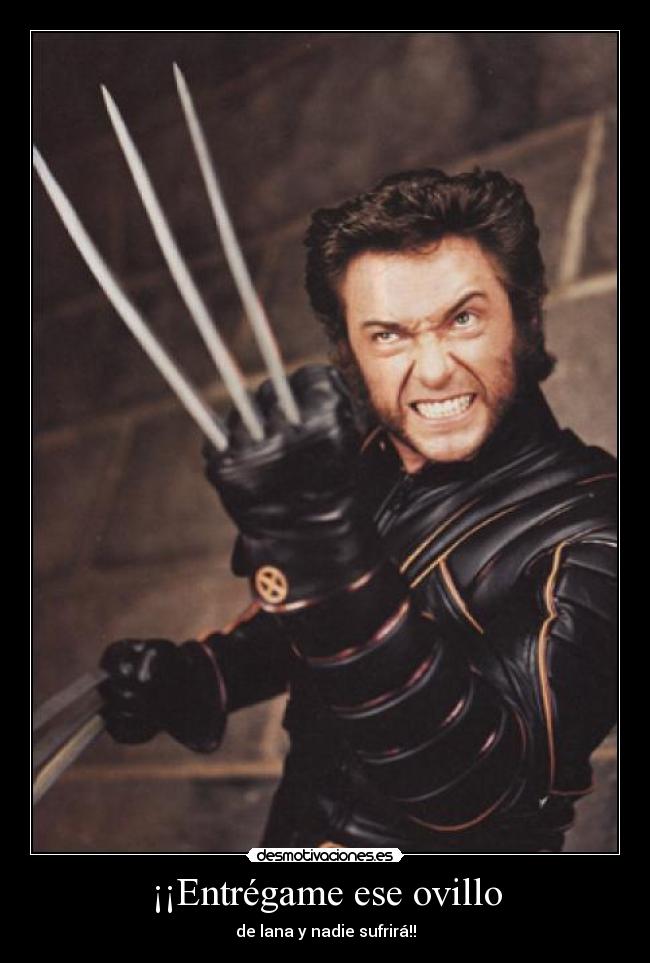 ¡¡Entrégame ese ovillo - de lana y nadie sufrirá!!