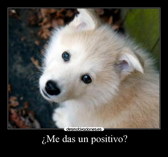 ¿Me das un positivo? - 