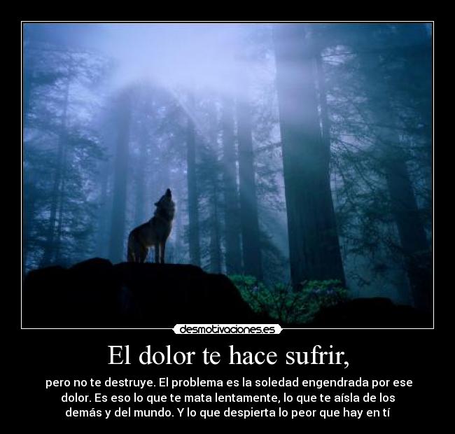 carteles dolor dolor soledad destruye aisla desmotivaciones