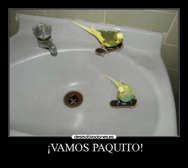 ¡VAMOS PAQUITO! - 