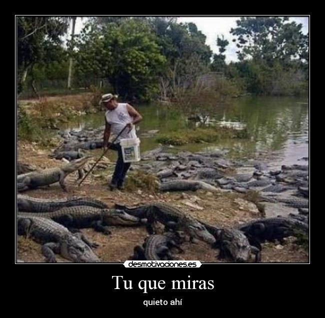 Tu que miras - quieto ahí