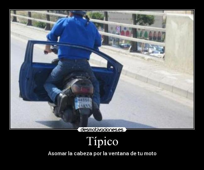 Típico - 