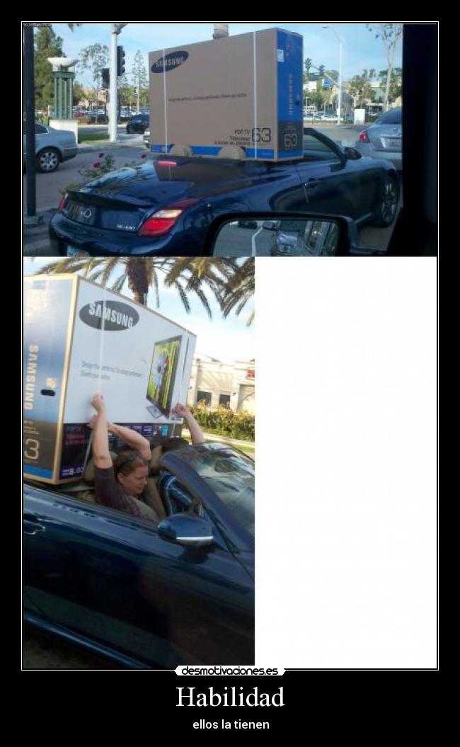 Habilidad - ellos la tienen