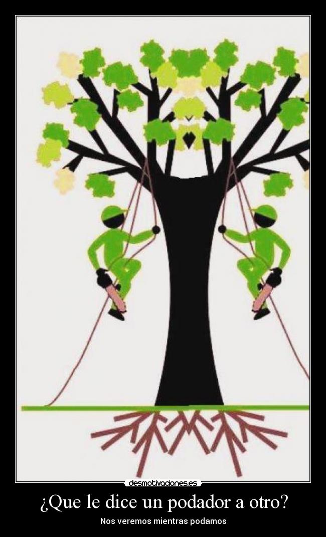 carteles jaja desmotivaciones