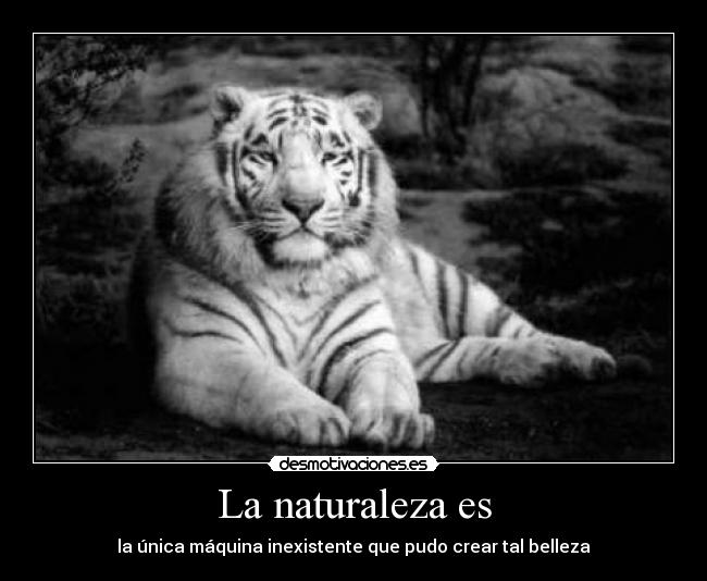 La naturaleza es -