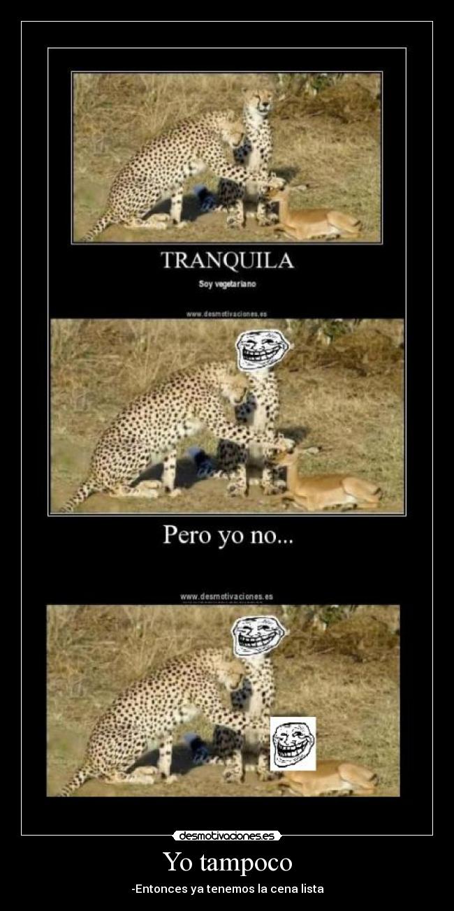 Yo tampoco - -Entonces ya tenemos la cena lista