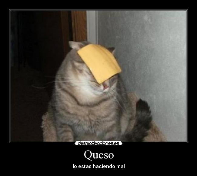 Queso - lo estas haciendo mal