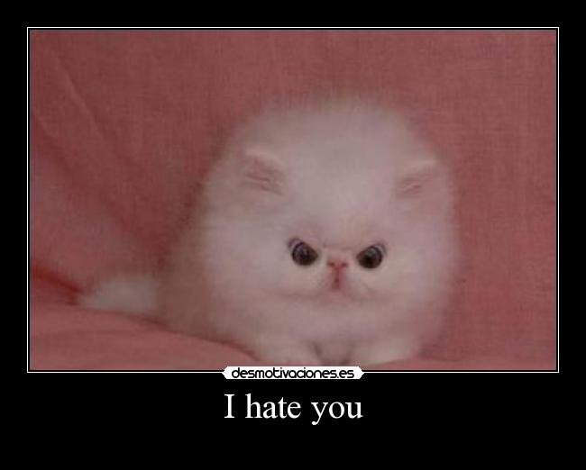 I hate you -
