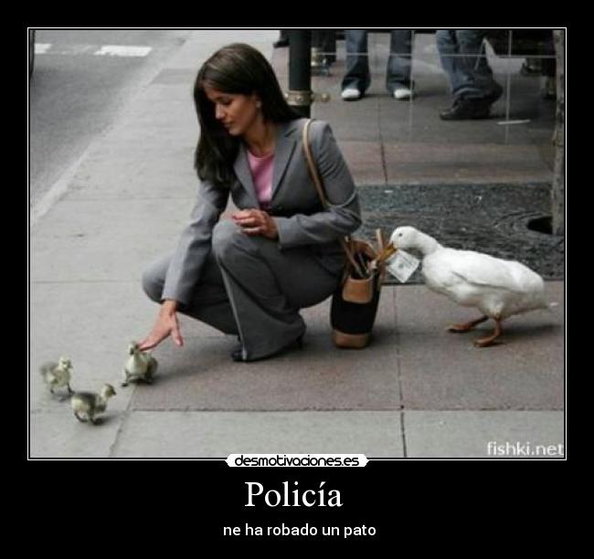 Policía -