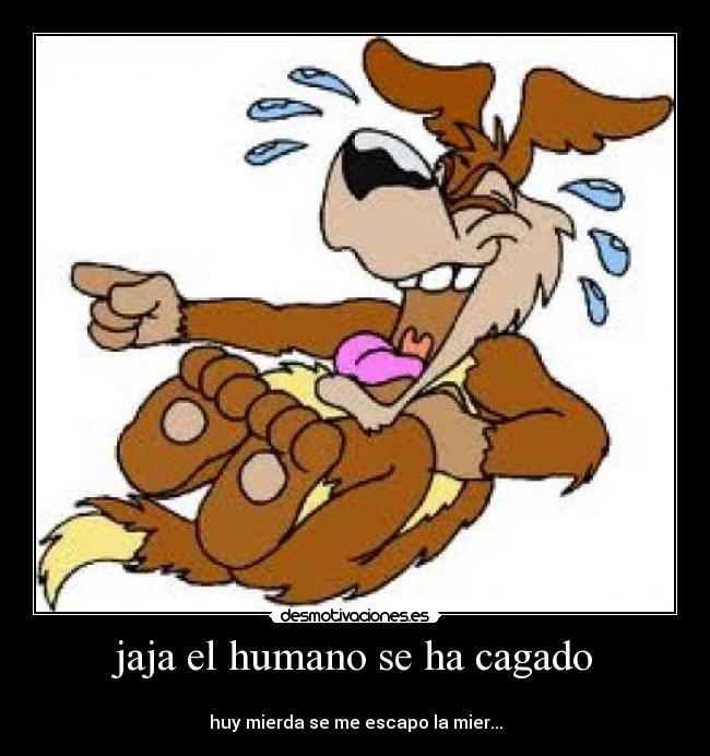 carteles graciosodivertido ingenioso desmotivaciones