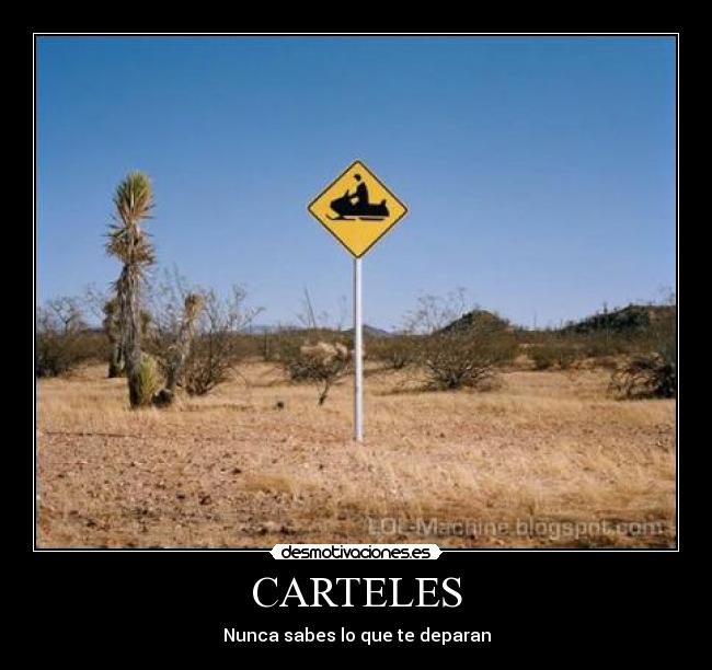 CARTELES -
