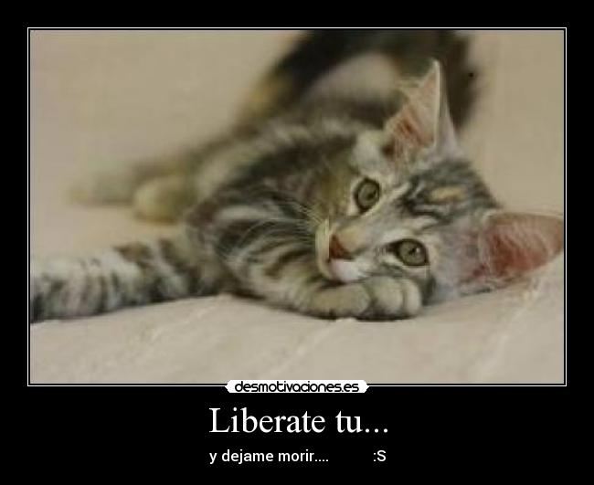 Liberate tu... - 