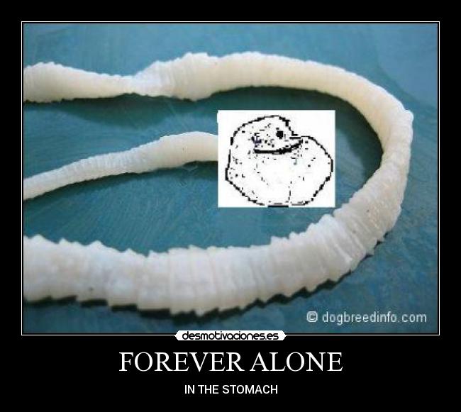 FOREVER ALONE - 