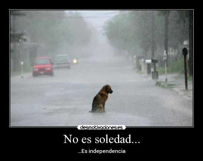 No es soledad... -