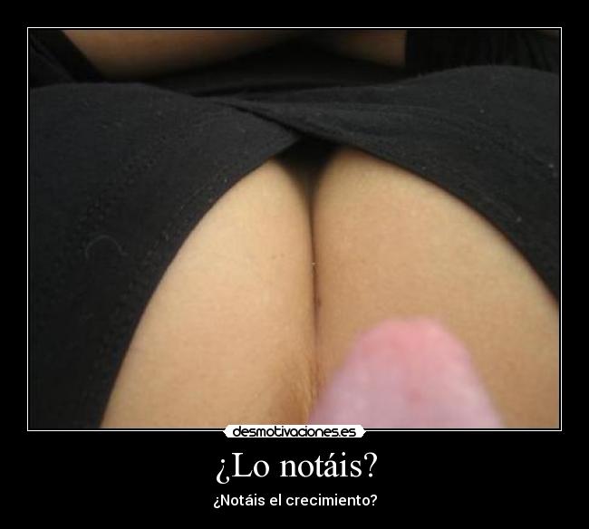 ¿Lo notáis? - 