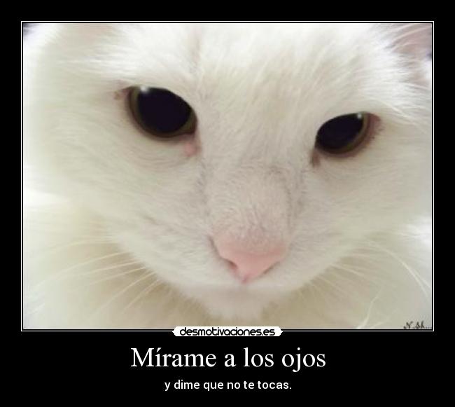 Mírame a los ojos - 