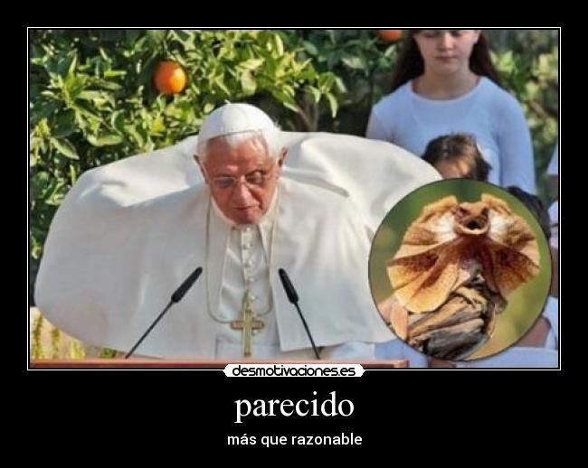 parecido - más que razonable