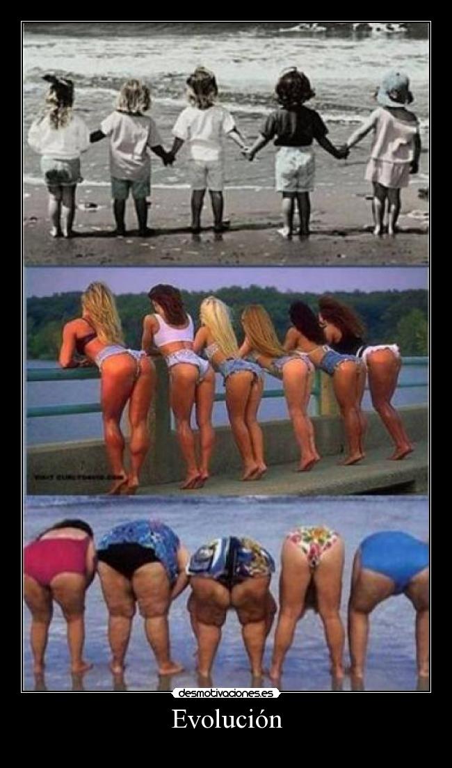 Evolución - 