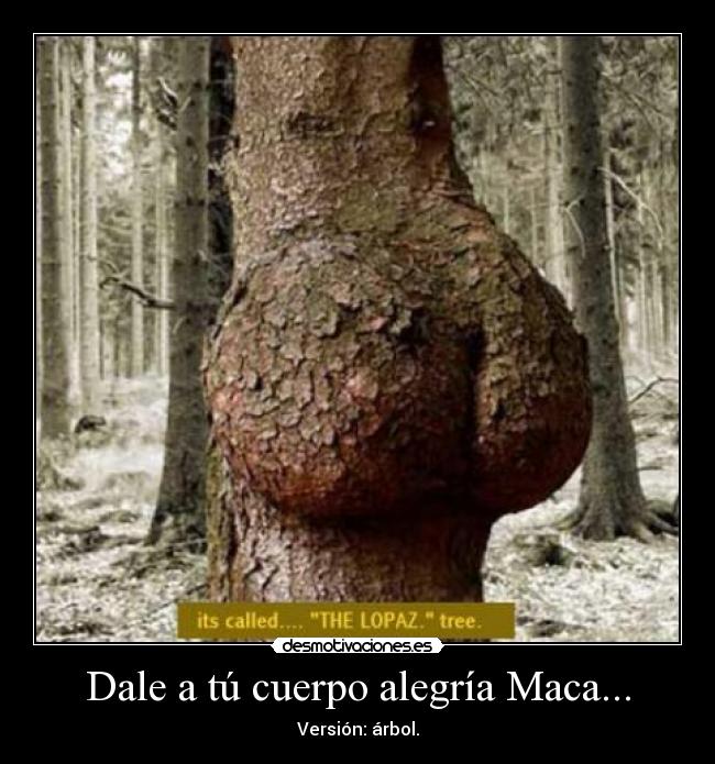 carteles alegria dale tu cuerpo desmotivaciones