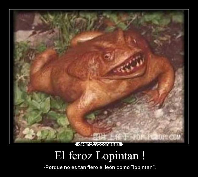 El feroz Lopintan ! -  -Porque no es tan fiero el león como lopintan.