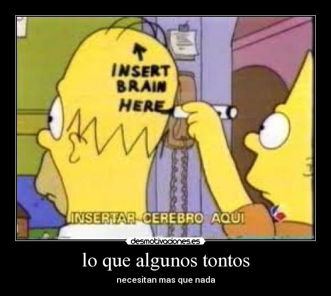 lo que algunos tontos - necesitan mas que nada