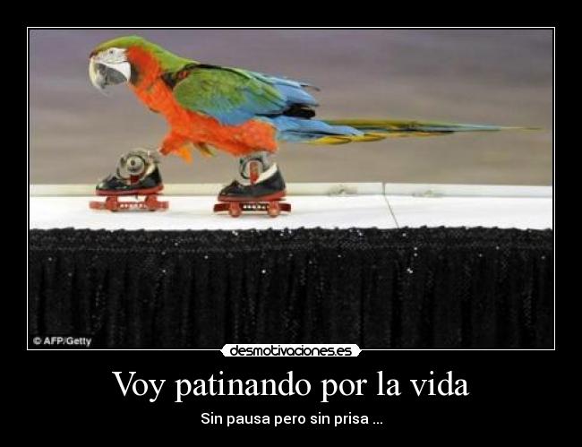 Voy patinando por la vida - 