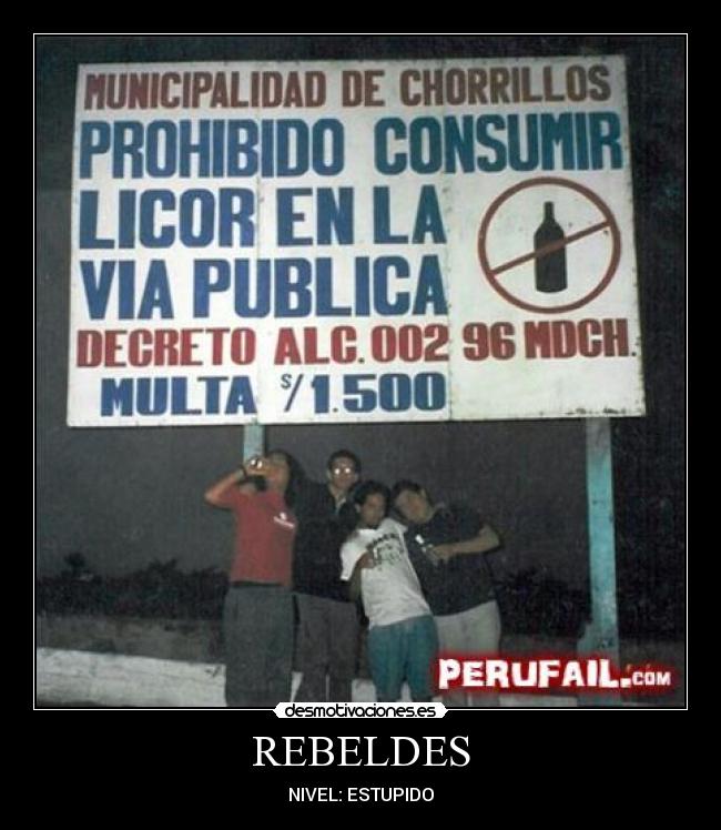 REBELDES - NIVEL: ESTUPIDO