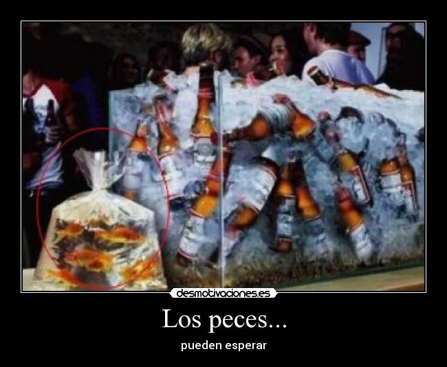 carteles peces desmotivaciones