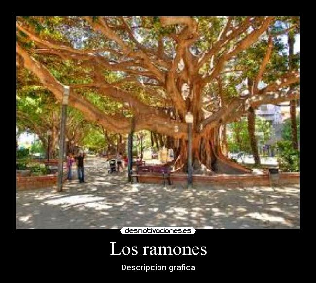 Los ramones - Descripción grafica