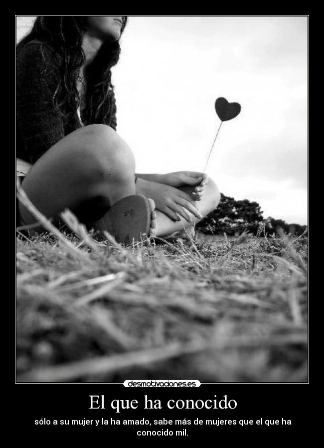 carteles que conocido desmotivaciones