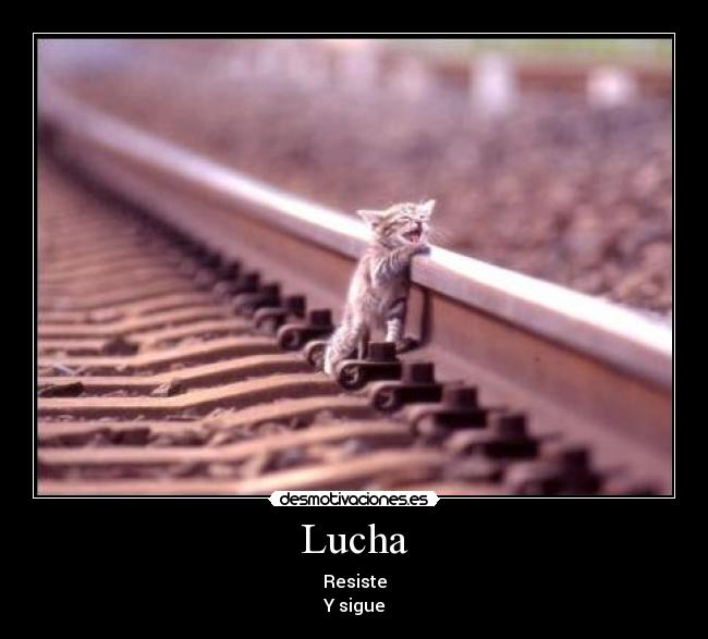 Lucha - Resiste
Y sigue