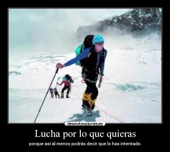 Lucha por lo que quieras - porque así al menos podrás decir que lo has intentado.